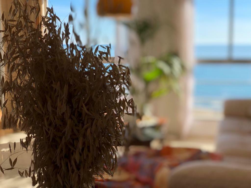 Apartament Stunning Sea View Alicante Zewnętrze zdjęcie